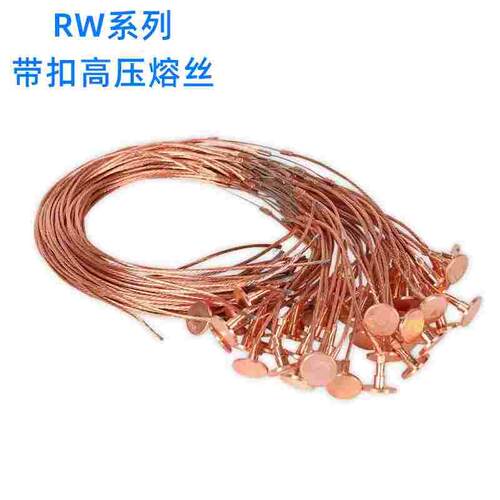 15A 熔丝带扣保险丝10KV 户外RW跌落式熔断器 高压熔丝10KV