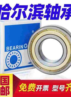 哈尔滨深沟球轴承6000 6001 6002 6003 6004 6005N 2RZ 2Z P5 C3