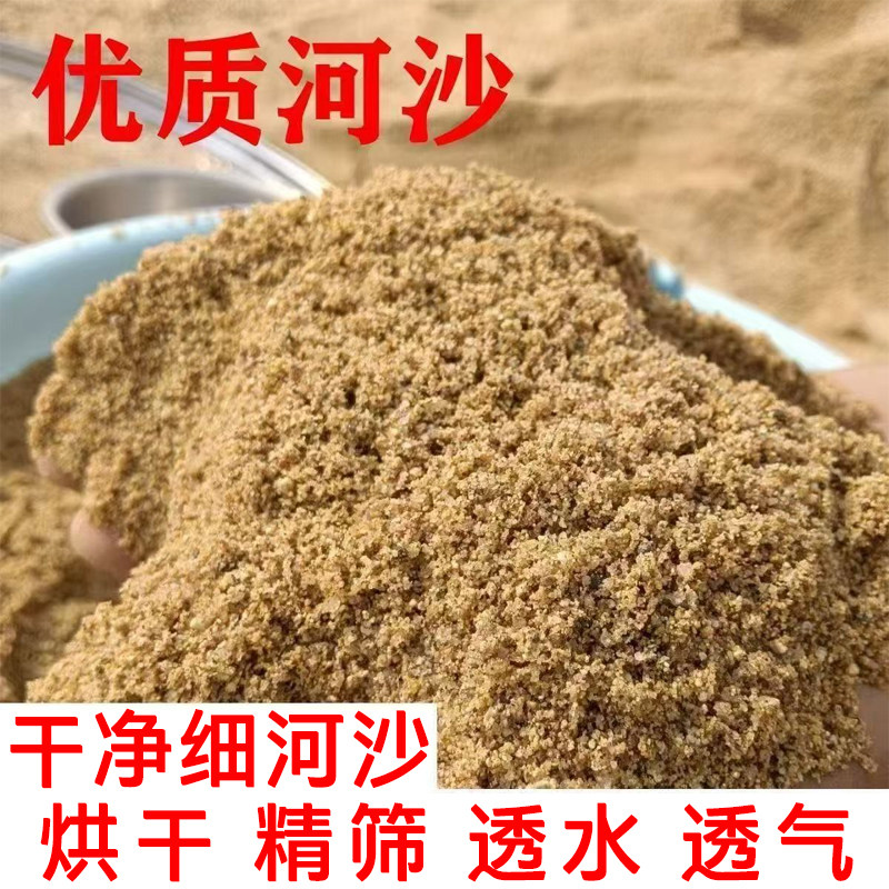 河沙50斤沙子烘干沙细沙图片