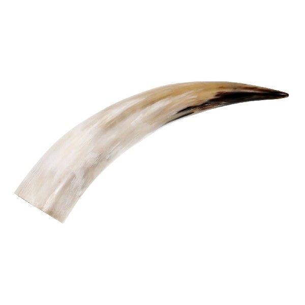 Cow Horns in Vase Ox Wall Decor Western Vases for Flowers