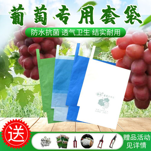 葡萄套袋专用袋芒果释迦莲雾果袋