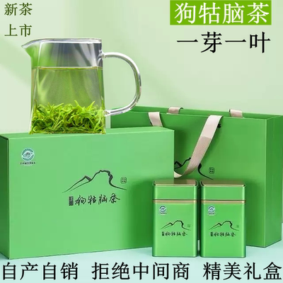 2024新茶江西绿茶遂川狗牯脑茶春茶明前珍品高山茶一芽一叶礼盒装