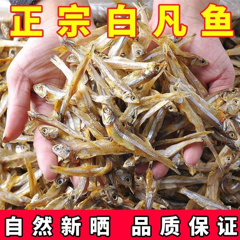 淡干小鱼干海燕鱼干精选北海咸鱼干白凡鱼干银鱼干公干鱼海鲜干货
