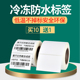 20可手写冷库生鲜食品二维条码 热敏合成纸耐低温撕不烂60 打印标签贴纸强粘 五防冷冻标签