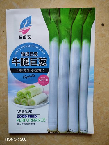牛腿巨葱种子东北种业高产山东章丘铁杆大葱王中华白露葱菜籽