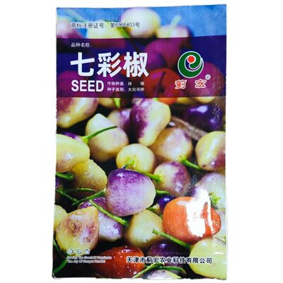七彩辣椒种子广西特产泡椒大果七彩椒盆栽四季种腌制泡椒蔬菜种子