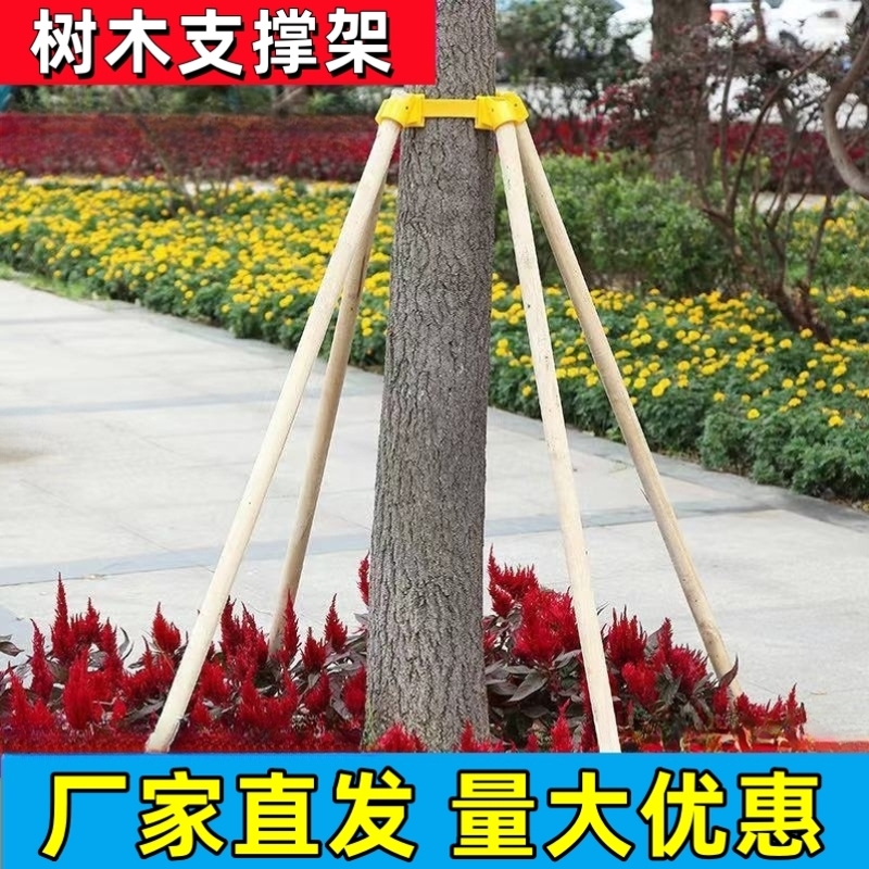 树木支撑固定器防风工程杉木松木杨木棍园林绿化支撑架杆稳定支架