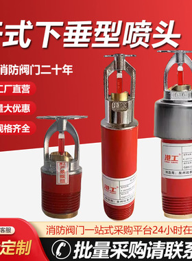 消防干式喷头消防干式下垂型喷头 ZSTGX K80 K115 预作用干式喷头