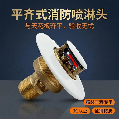 齐平式隐蔽喷淋头K80/K115带报告