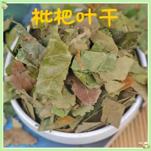 枇杷叶500g泡水泡茶枇杷叶