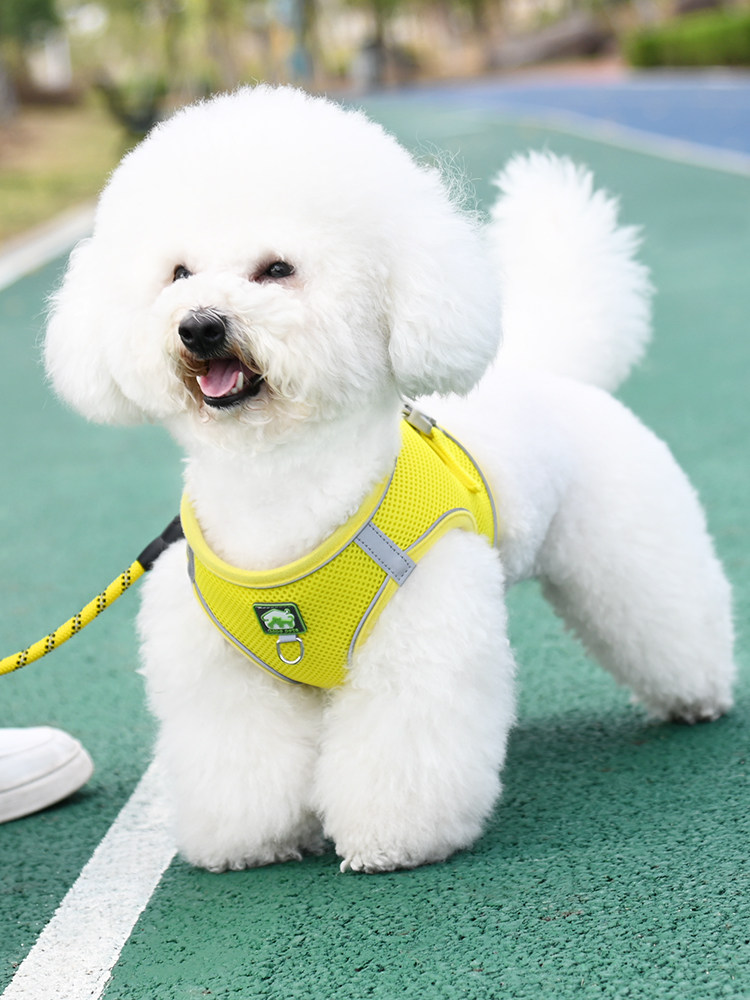 背心式狗狗牵引绳泰迪小型犬比熊博美胸背带小狗幼犬遛狗绳狗炼子