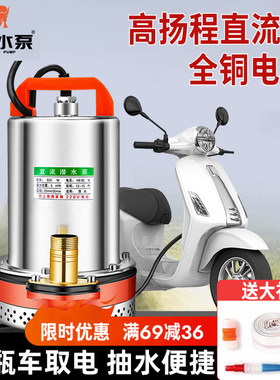 电动电瓶车专用直流潜水泵48v60v72v小型家用农用浇菜灌溉抽水泵