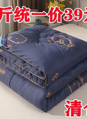 外贸出口天丝提花大豆被芯春秋被双人冬被四季通用柔软保暖被子