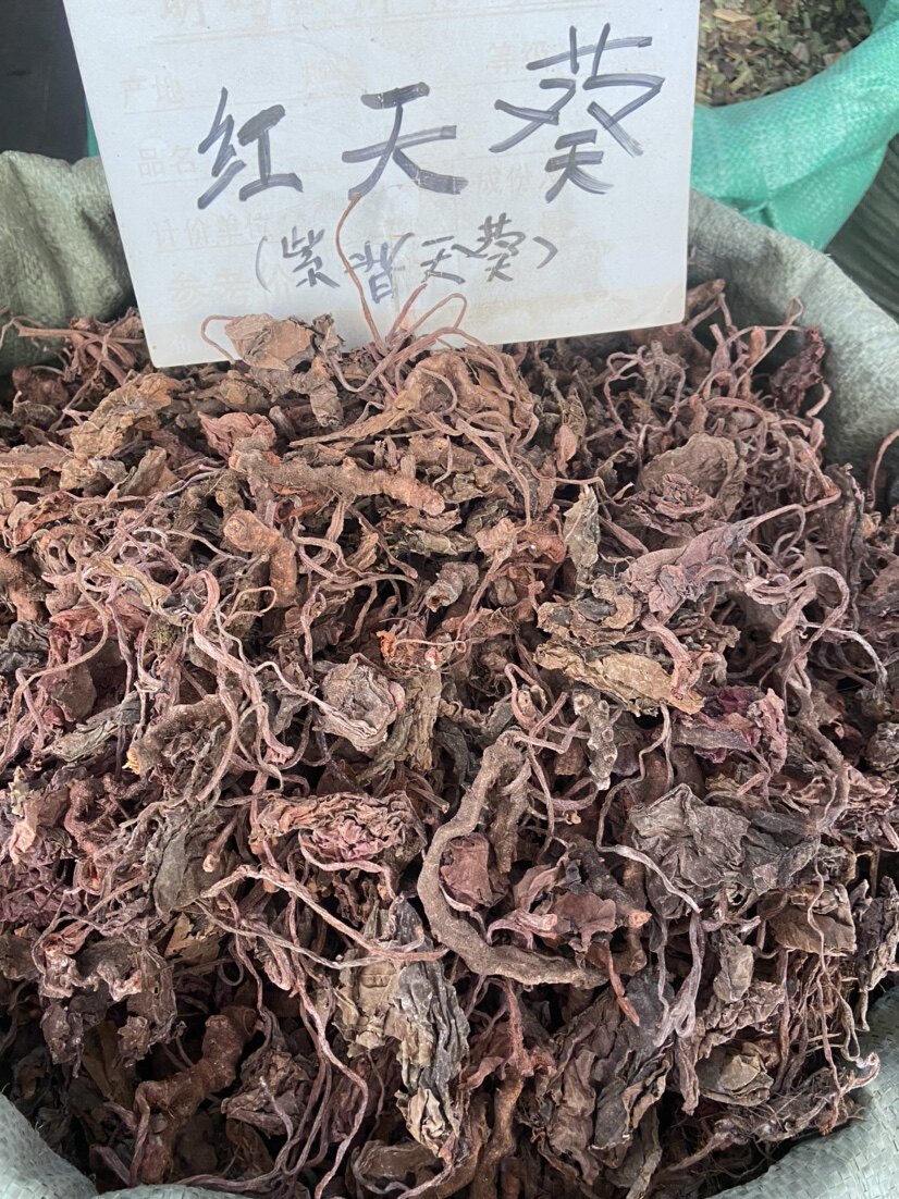 野生正品紫背天葵 红天葵中药材250g特级紫背天葵草红叶 红天葵草