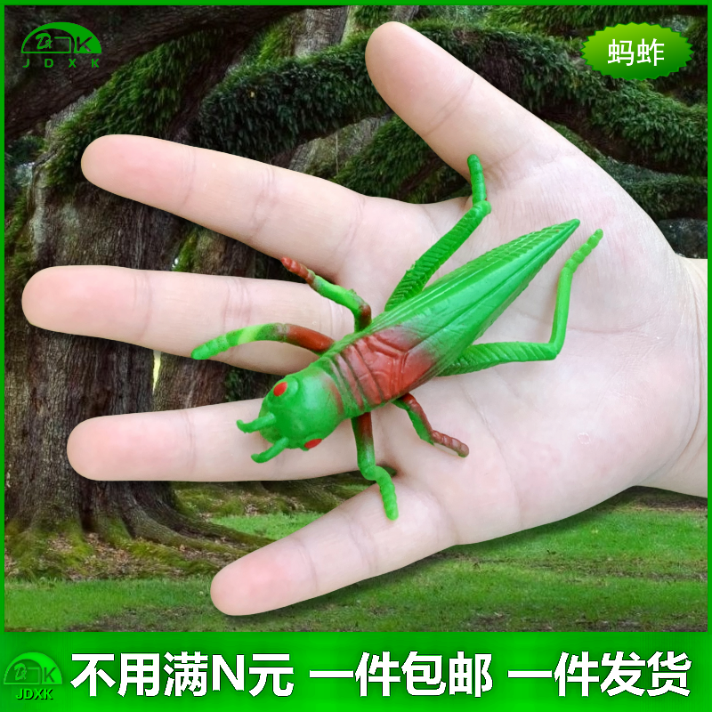 软胶仿真蚂蚱玩具包邮