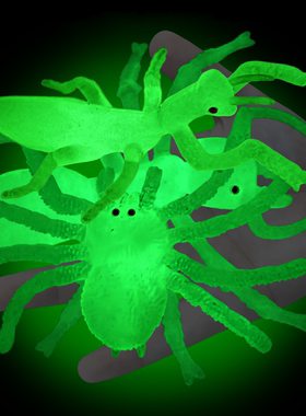 软胶仿真夜光蜘蛛蚂蚁螳螂幼儿园儿童认知玩具发光假昆虫动物模型