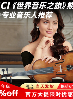 圣维斯SW100手工实木小提琴初学者儿童入门专业级考级演奏成人