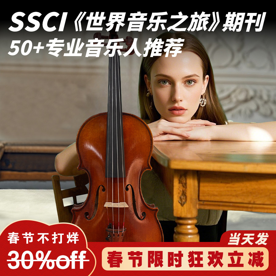 圣维斯SW022欧料纯手工小提琴演奏实木专业考级演出儿童初学成人