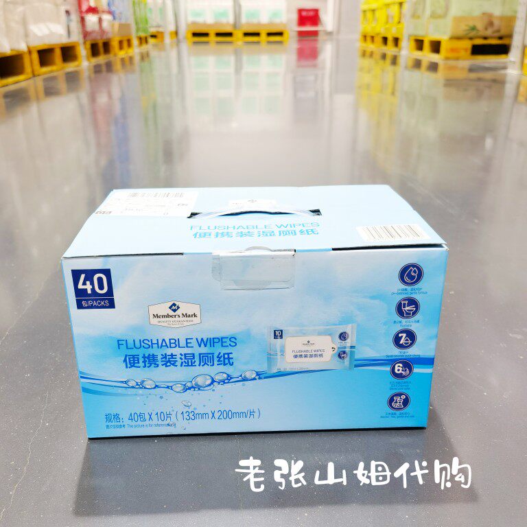 MM便携式湿厕纸湿纸巾干净卫生易分解七秒速干柔软40包*10片