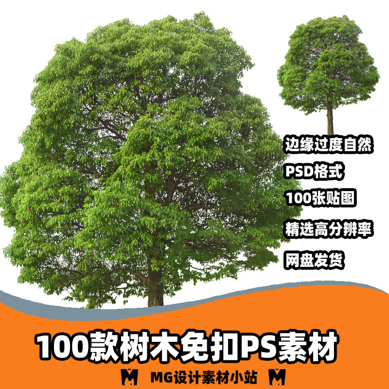 100套树木绿植ps免扣图片后期p图高清分辨率室内设计效果图