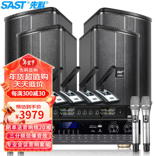 先科VD-202会议室音响套装组合家庭KTV背景音乐培训会议专用设备