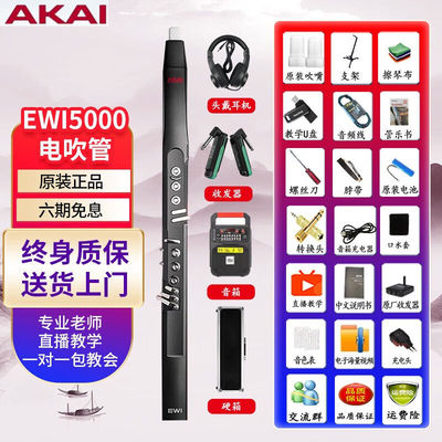 IRYEWI电吹管进口EWI5000乐器大全SOLO专业级中老年人送礼佳品500