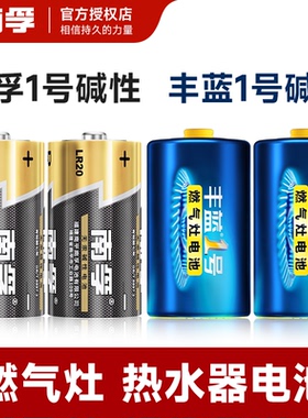 南孚1号电池碱性LR20家用燃气灶用热水器丰蓝大号一号电池正品