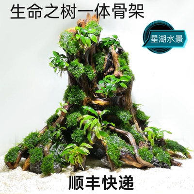 生命之树沉木鱼缸造景星湖水景