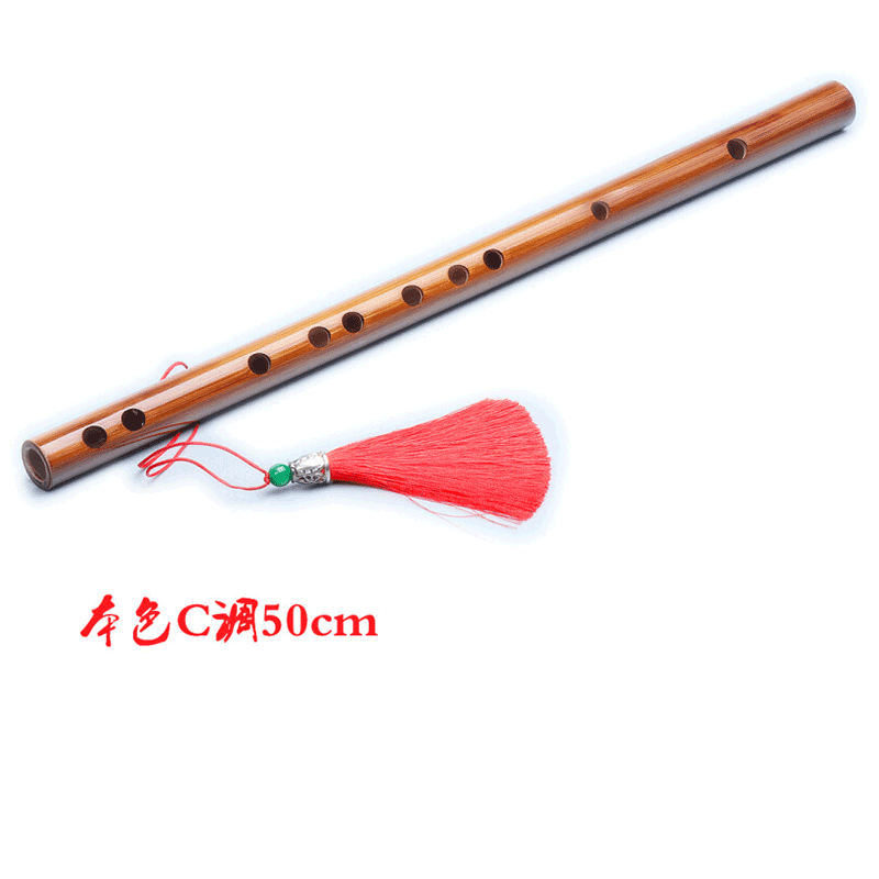 小笛子素笛一节短笛儿童初学入门笛子学生男性女性竹笛本色c