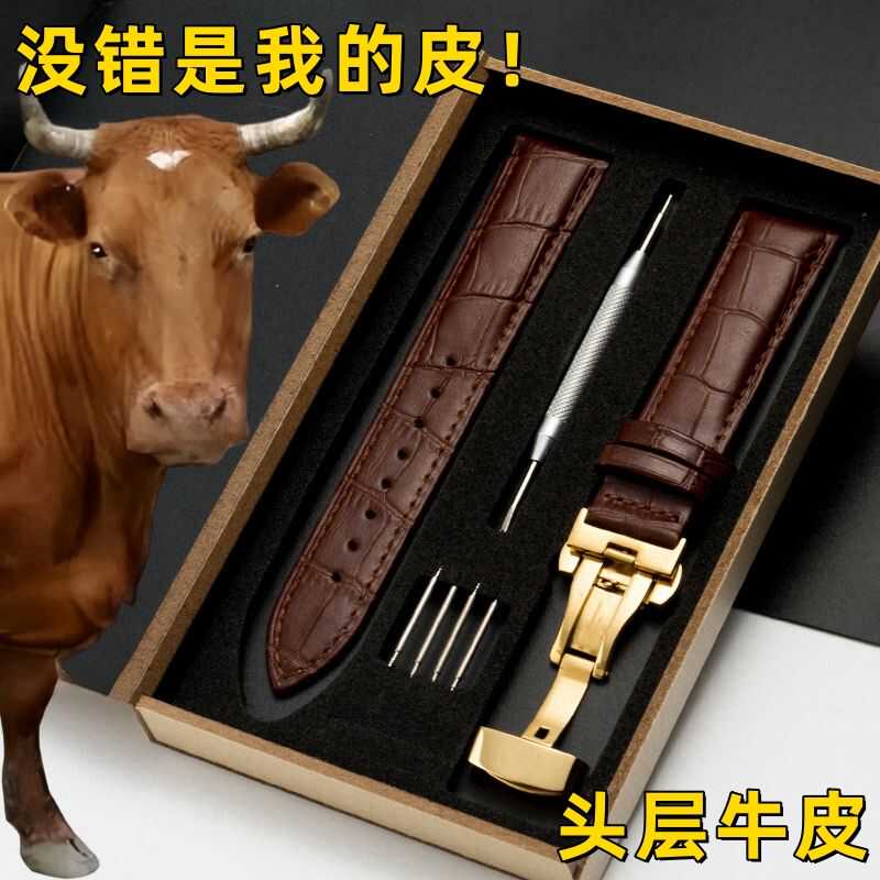 放牧专用蝴蝶扣防水太阳能表带