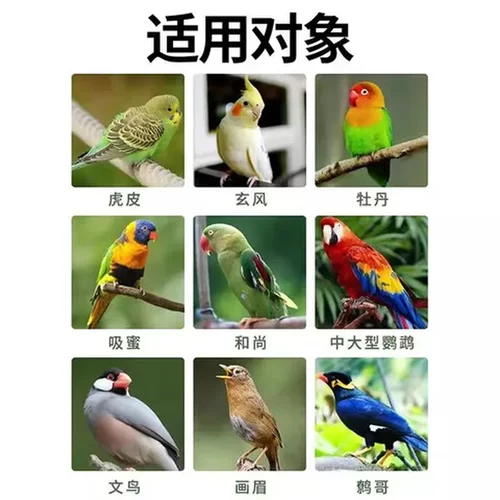 营养亲人零食鸟食粮笼养鸟鸟用粘人电解多维补钙鹦鹉上手训