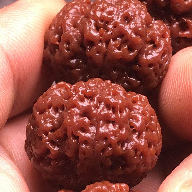 机器刷涂尼泊尔Rudraksha种子手镯5瓣爆破肉潜水皇家蜜蜂梅花双龙