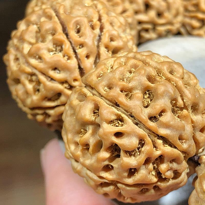 尼泊尔金刚菩提菩提籽手串红黄皮满肉原籽文玩佛珠六瓣七瓣八瓣九