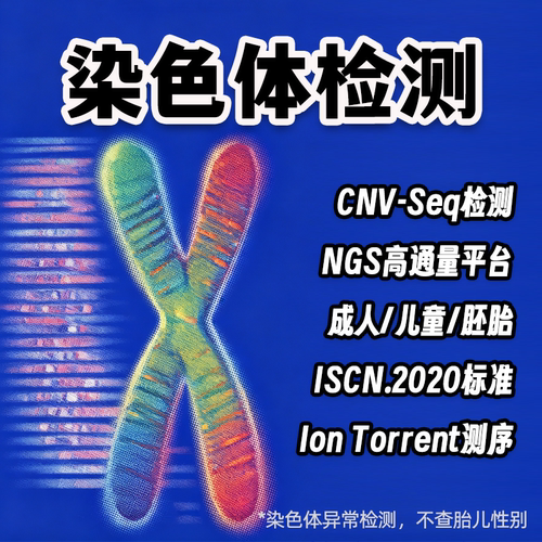 染色体缺失重复 CNV CMA微阵列 染色体异常检测 不明原因流产 xxy
