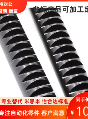 RGEAS RGEAM0.5 0.8-300-N  L尺寸  固定型 直齿条  替代米思米