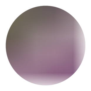 野花组合多年生四季花卉种子矮花子美女樱种子室外草花绿化花种籽