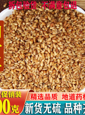 柏子仁白籽去皮侧佰百仁搭新货酸枣仁栢仔实理枣仁500克打粉泡茶