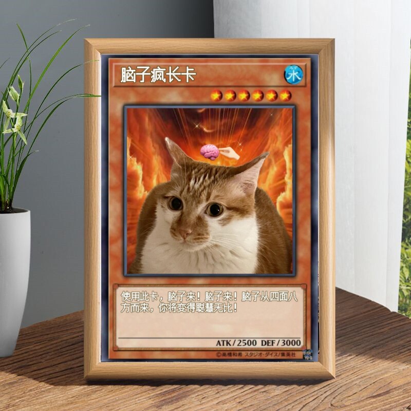 创意猫咪仿卡牌相框照片知识自动进脑学校送朋友新颖礼物摆件考试