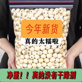莲子干货天然白莲子磨皮去芯500g新鲜无硫湖南湘潭特产无芯莲子干