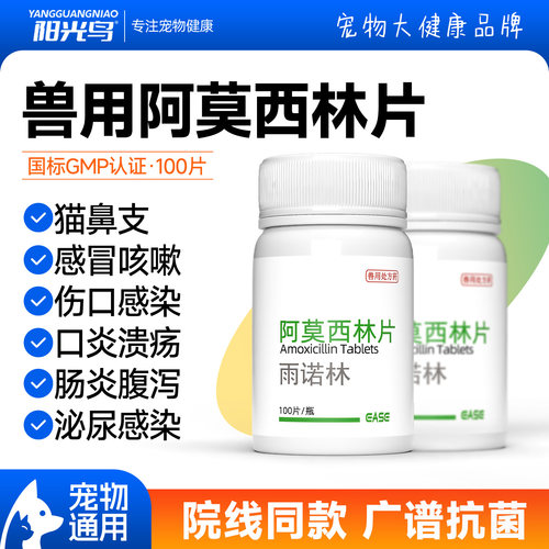 兽用阿莫西林片猫咪狗狗消炎药
