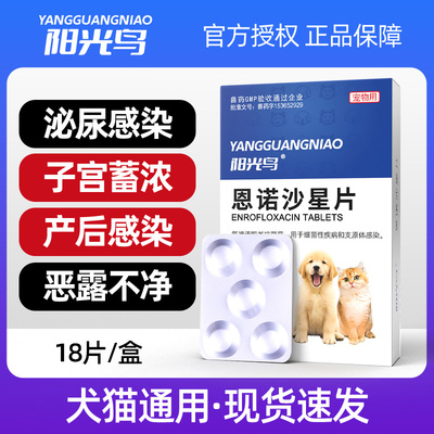 狗狗猫咪宠物尿路感染尿血尿频用