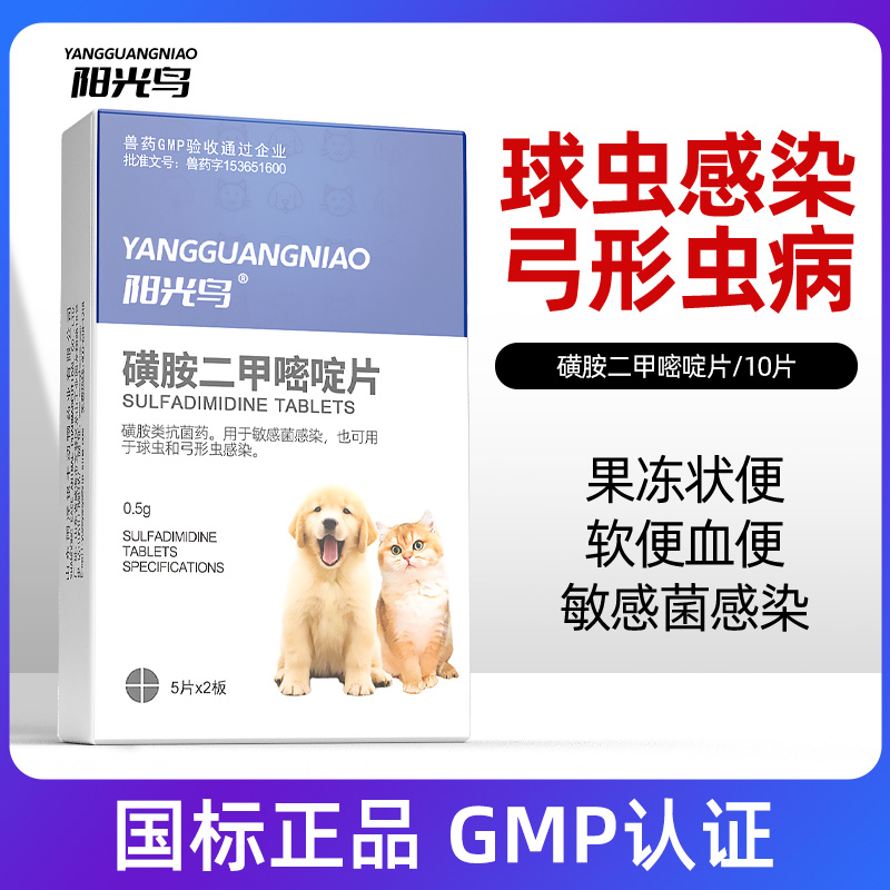 狗狗猫咪球虫弓形虫感染用药