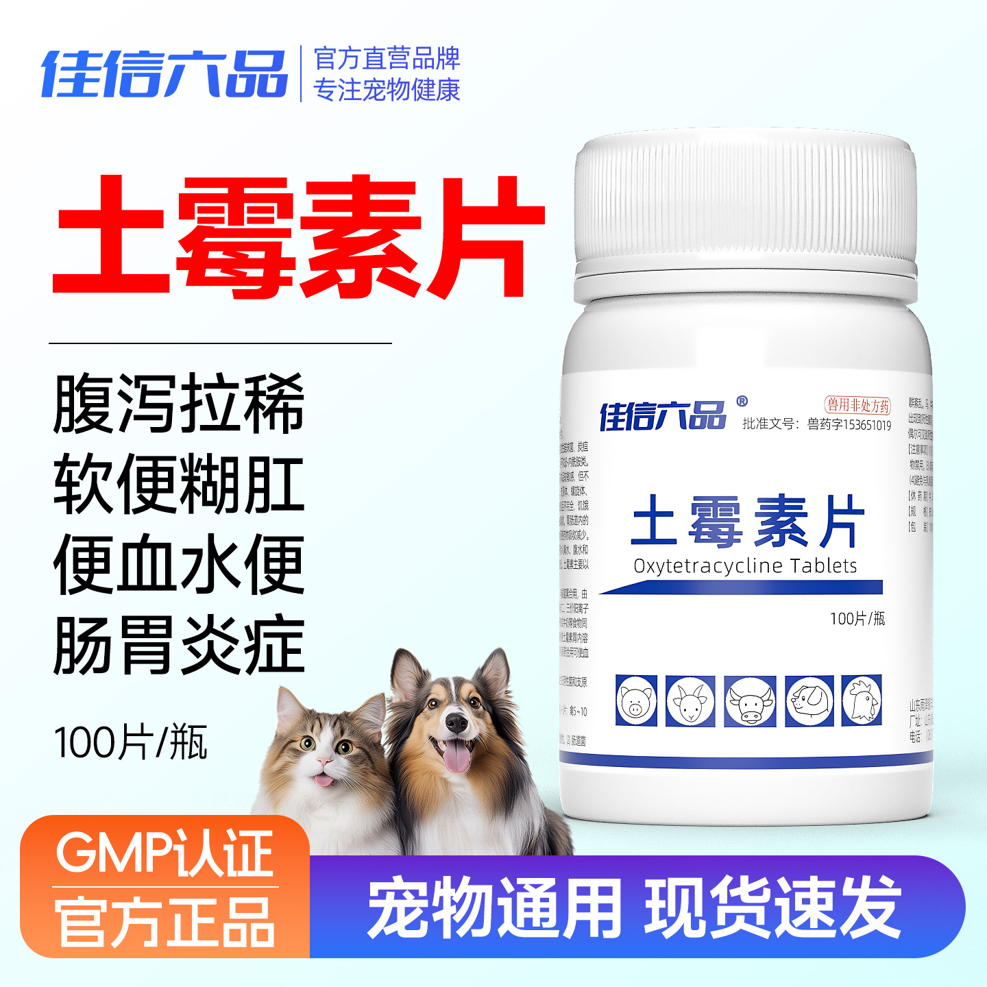 狗狗猫咪肠胃炎呕吐拉稀腹泻止泻