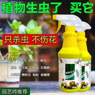 花卉杀虫剂家用植物花草通用室内多肉盆栽除蚜虫药月季小飞虫喷雾