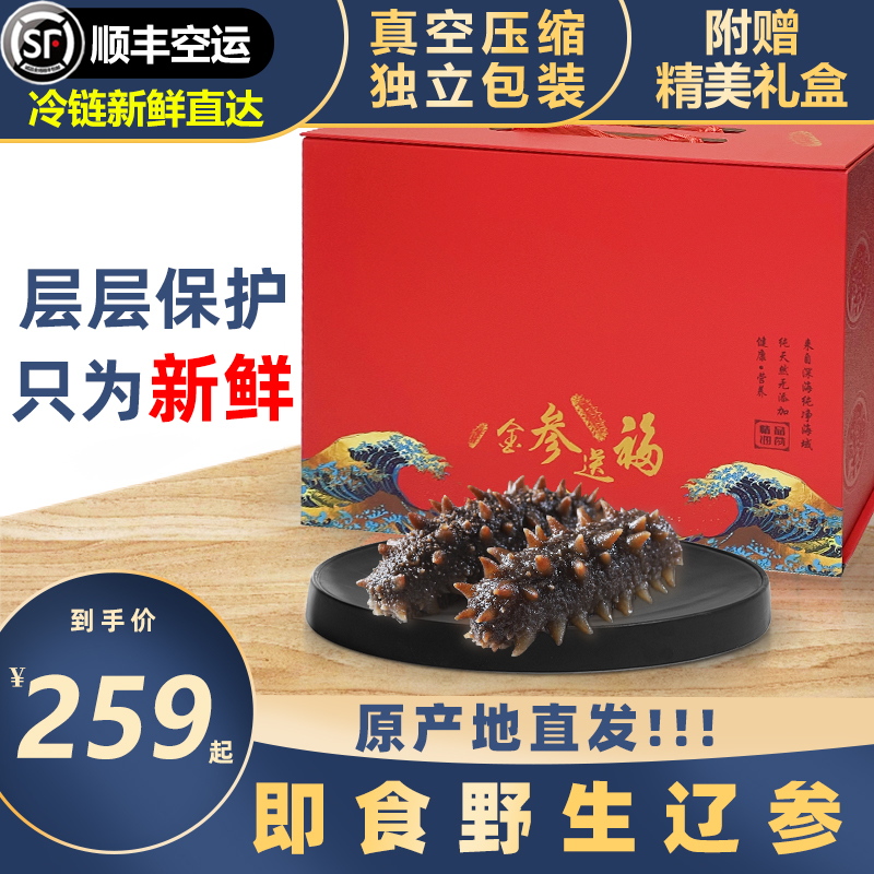 大连即食海参礼盒送礼野生刺参保鲜非干货500g特价优惠顺丰包邮