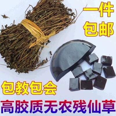 仙草 新鲜草干叶仙草冻黑凉粉草干烧仙草粉汁正宗仙人特产福建