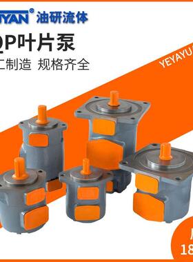 SQP21 31 41 32 42 43双联42液压17油泵叶片泵SQP1 2 3 410 12/14