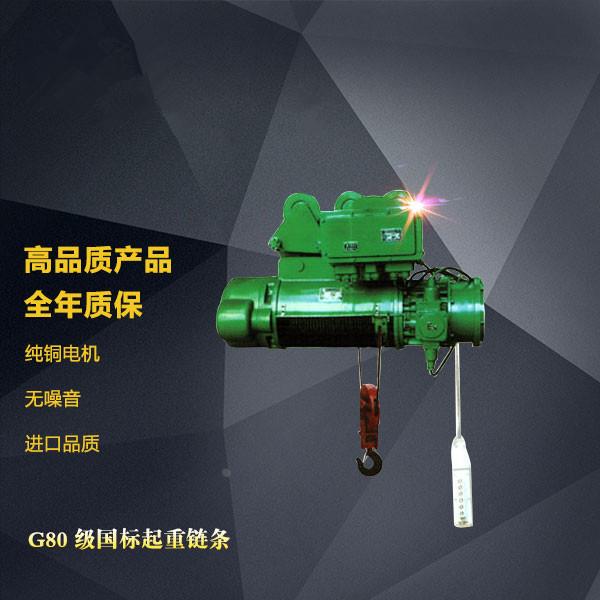 BCD防爆钢丝绳电动葫芦1T0.5吨*6米1吨*6米*9米*12米上海沪工葫芦