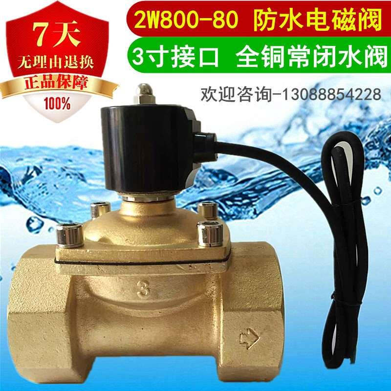 3寸防水电磁阀 2W800-80 水下跳泉电磁阀全铜水阀 气阀 DN80接口