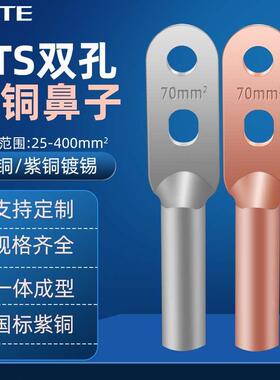 双孔铜鼻子DTS25/35/50平方-400平方国标紫铜镀锡铜线耳接线端子
